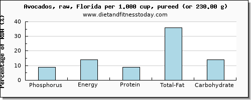 phosphorus and nutritional content in avocado