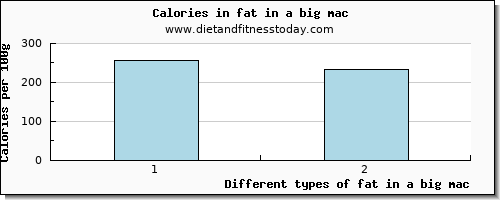 fat in a big mac total fat per 100g