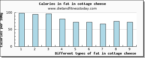 fat in cottage cheese total fat per 100g