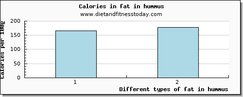 fat in hummus total fat per 100g