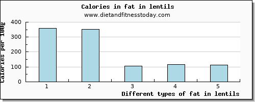 fat in lentils total fat per 100g