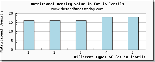 fat in lentils total fat per 100g