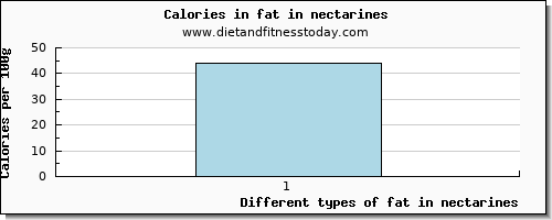 fat in nectarines total fat per 100g