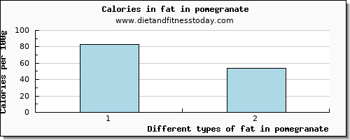 fat in pomegranate total fat per 100g