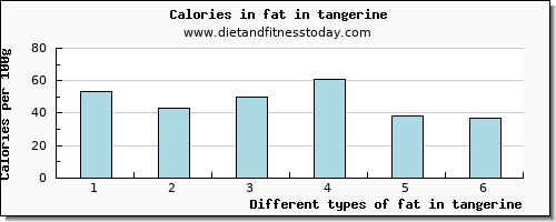 fat in tangerine total fat per 100g