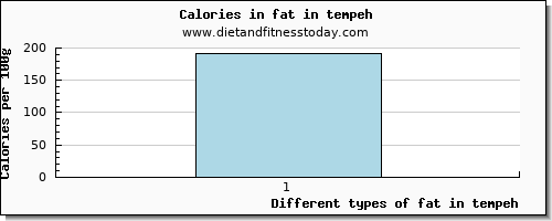 fat in tempeh total fat per 100g