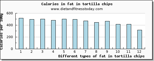 fat in tortilla chips total fat per 100g