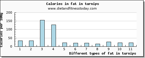 fat in turnips total fat per 100g