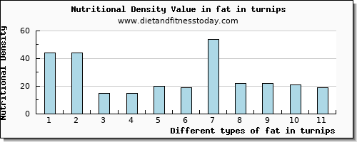 fat in turnips total fat per 100g