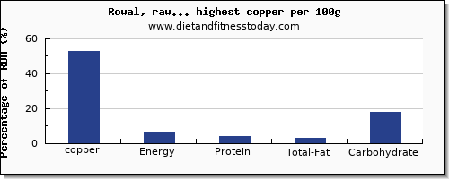 copper and nutrition facts in fruits per 100g