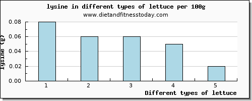 lettuce lysine per 100g