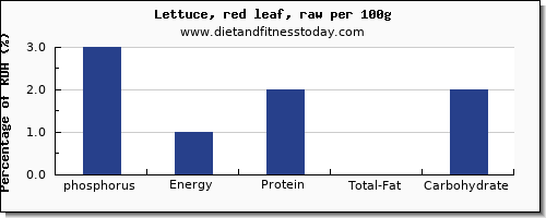 phosphorus and nutrition facts in lettuce per 100g