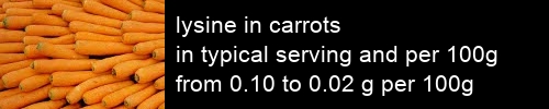 lysine in carrots information and values per serving and 100g