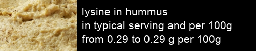 lysine in hummus information and values per serving and 100g