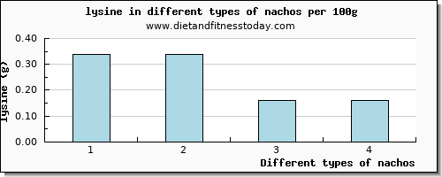 nachos lysine per 100g