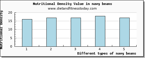 navy beans manganese per 100g