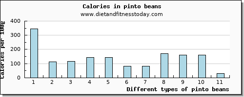 pinto beans copper per 100g