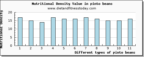 pinto beans copper per 100g