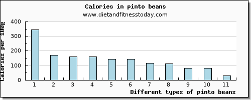 pinto beans protein per 100g