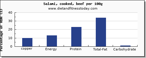 copper and nutrition facts in salami per 100g