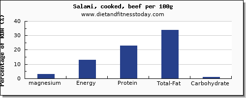 magnesium and nutrition facts in salami per 100g