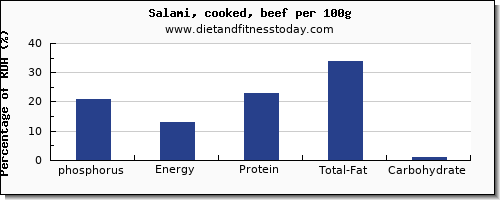 phosphorus and nutrition facts in salami per 100g