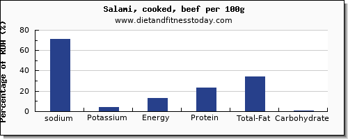 sodium and nutrition facts in salami per 100g