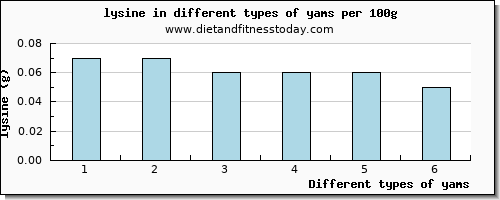 yams lysine per 100g